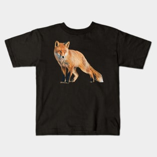 Fox - Woodland Themed Kids Room, Funny Gifts For Forester, Cute Animals Kids T-Shirt